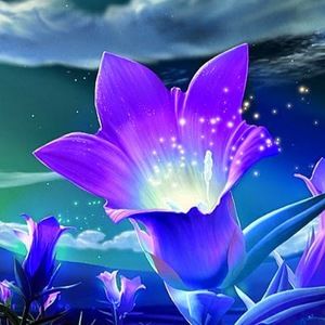 Meet your Posher, Rickie-leigh